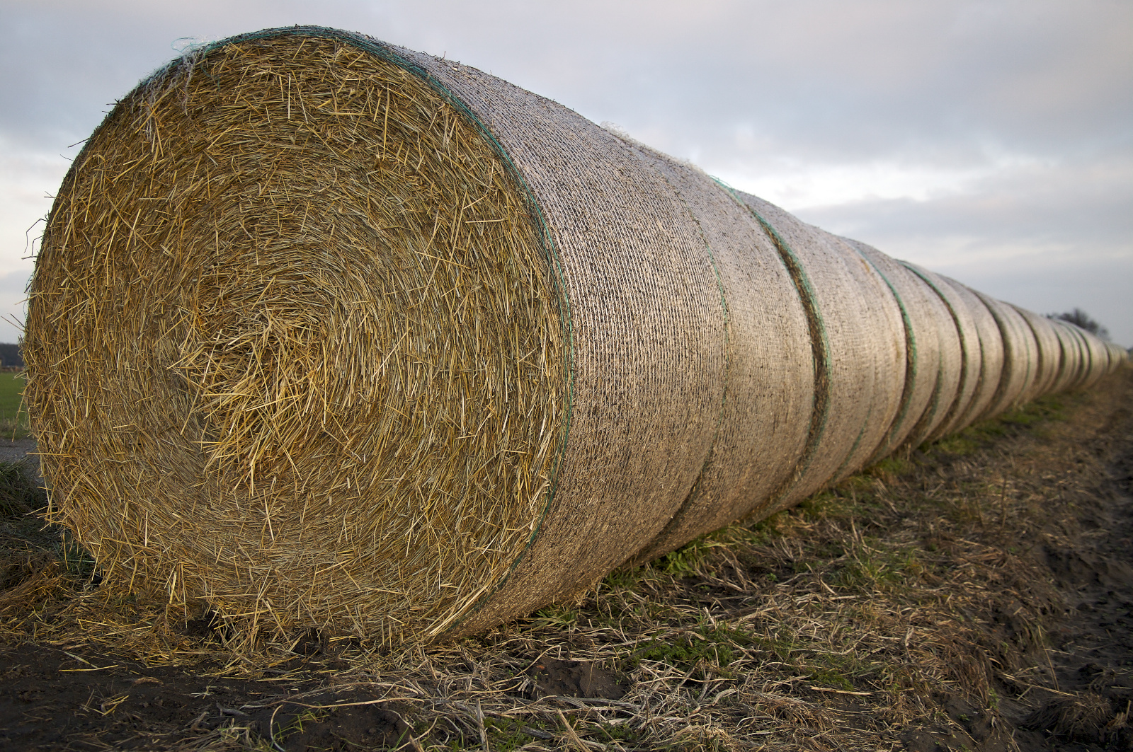 20DU8980 (322 von 410)   Arbeitskopie 3